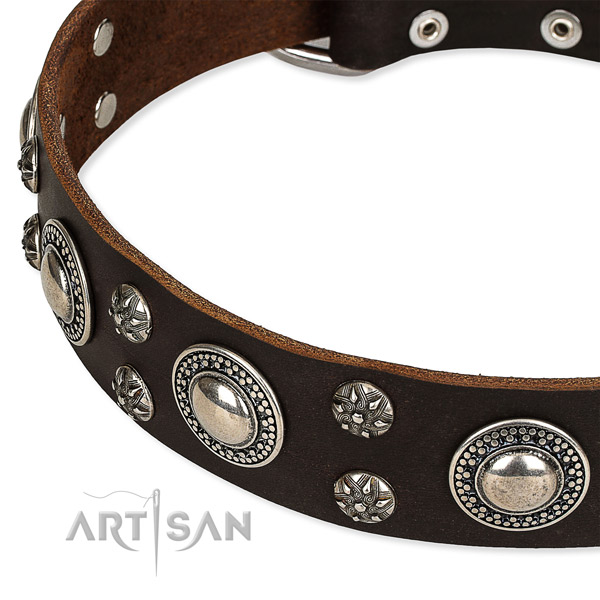 Quick to fasten leather dog collar with resistant to tear and wear rust-proof fittings