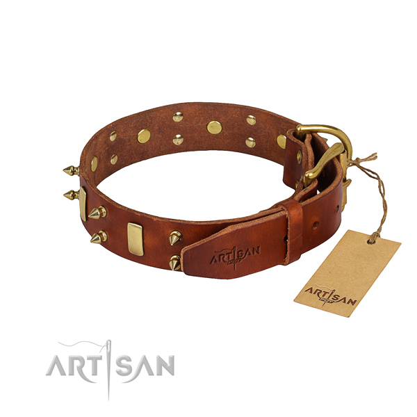 Durable leather dog collar with sturdy hardware