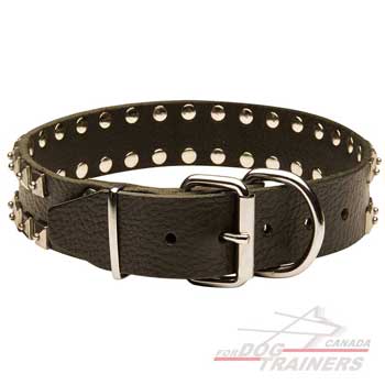 Dog collar walking with D-ring for the leash