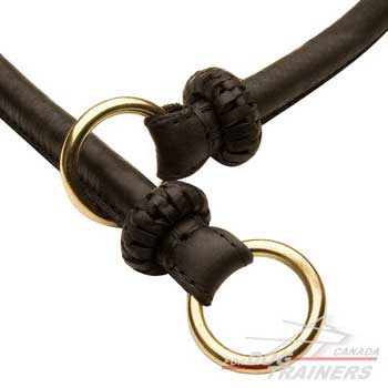 Dog collar with O-ring to connect the leash 