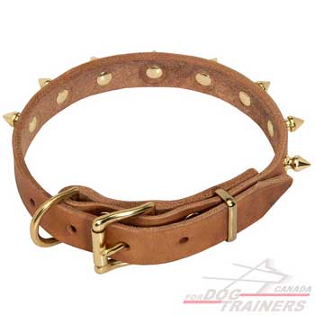 Collar for dogs with shiny spikes