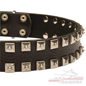 Dog collar with square-shapped decoration