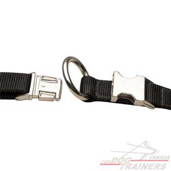 Dog collar with extra strong hardware