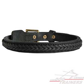 Braided leather dog collar with sturdy hardware  decoration