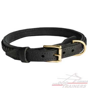 Braided leather canine collar with massive brass buckle and D-ring
