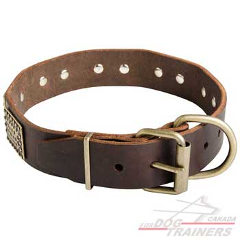 Dog leather collar buckle adjustable