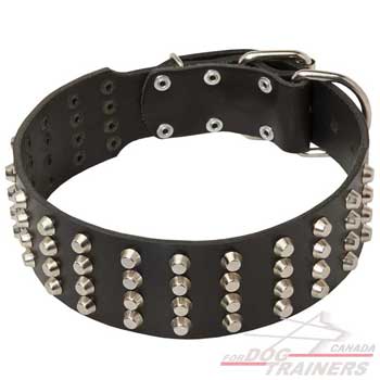 Dog leather collar pyramid studded for walking