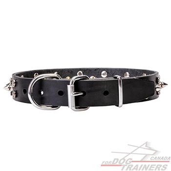 Full Grain Natural Leather Dog Collar With Chrome Plated Hardware