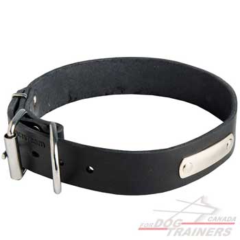 Dog Leather Collar with Identification Tag