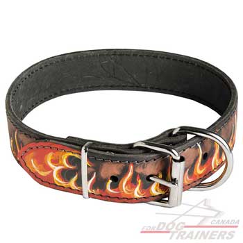 Handpainted Leather Collar for Canine Walking