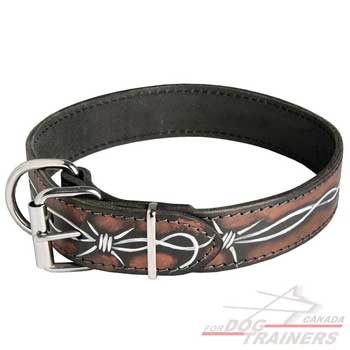 Leather Collar for Canine Walking and Training