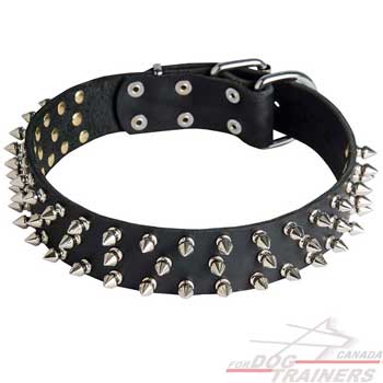 Spiked Leather Canine Collar for Fashionable Walking