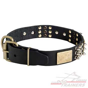 Leather dog collar adjustable with reliable buckle