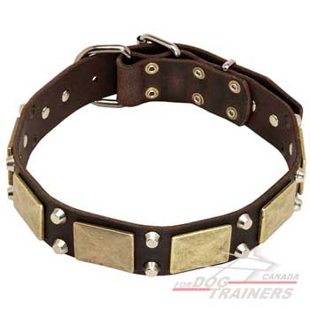 Leather dog collar with plates and pyramids