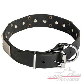 Leather dog collar walking easy adjustable