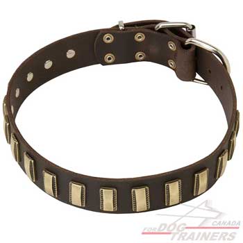 Leather dog collar with fashion adornment