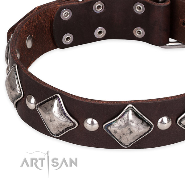 Adjustable leather dog collar with resistant durable hardware