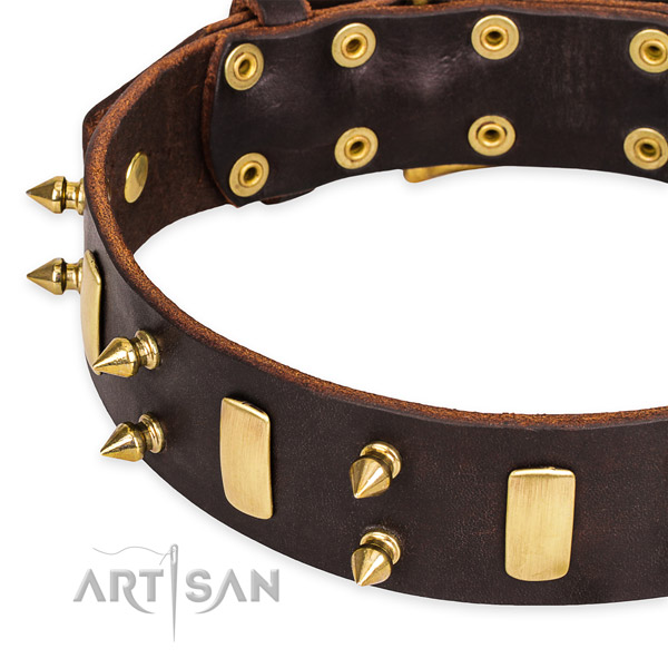 Quick to fasten leather dog collar with resistant to tear and wear brass plated buckle