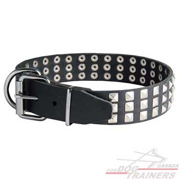Dog leather collar with adjustable buckle