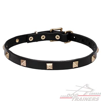 Natural leather dog collar with brass studs