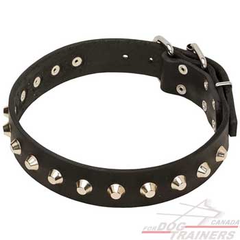 Dog Leather Collar with Fashionable Decoration