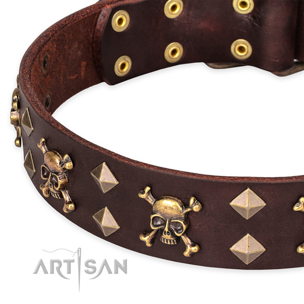 Day-to-day leather dog collar with remarkable embellishments