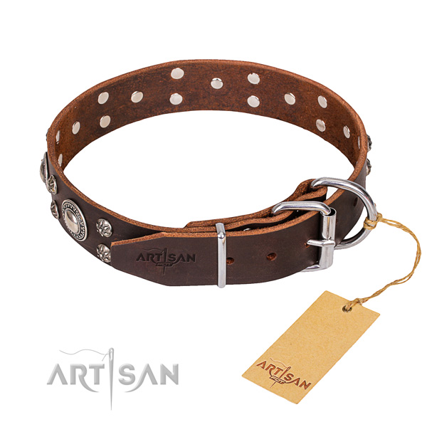 Everyday leather collar for your stunning canine