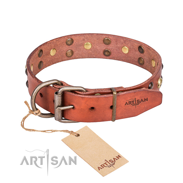Genuine leather dog collar for stylish walking