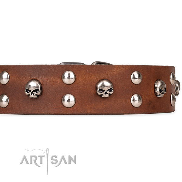 Full grain genuine leather dog collar with smoothed finish