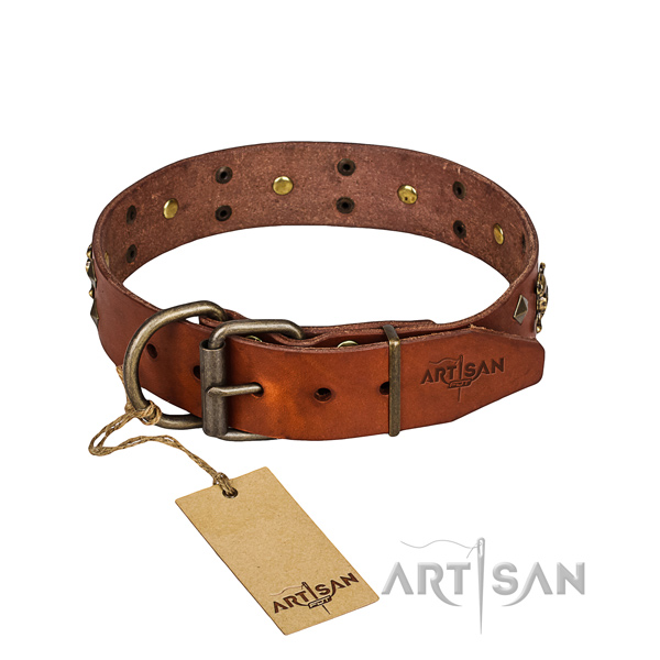 Dependable leather dog collar with rust-proof elements