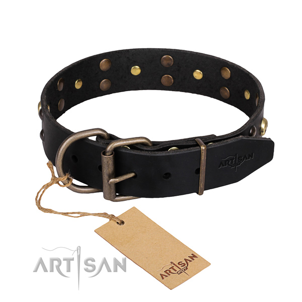 Casual style leather dog collar with exciting embellishments