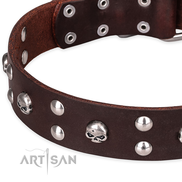 Casual leather dog collar with luxurious studs