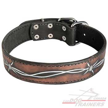 Walking Leather Collar for Canine Fashionable Look