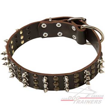 Leather dog collar spiked studded for extra beauty