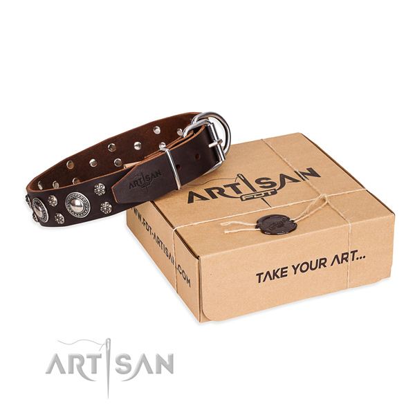 Casual style leather dog collar with astounding adornments
