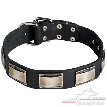 Leather dog collar walking with decoration