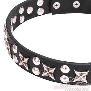 Everyday use leather canine collar with chrome plated steel decorations