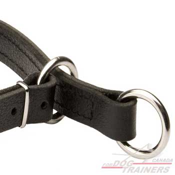 Nickel Ring for Fast Leash Attachment