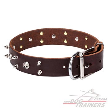 Nickel-plated hardware for elegant leather dog collar