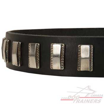 Nickel plates on leather collar, with etched edges