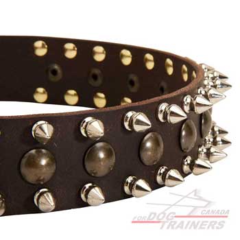 Nickel spikes brass studs riveted in leather collar