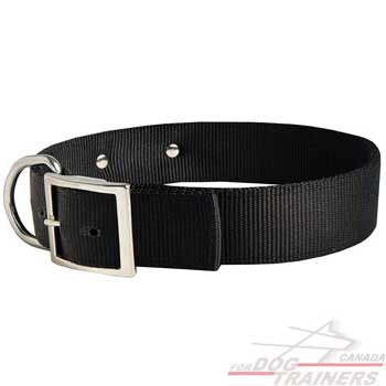 Nylon Dog Collar with Durable Buckle and D-ring