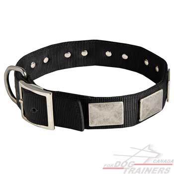 Nylon Collar for Canine Walking and Training