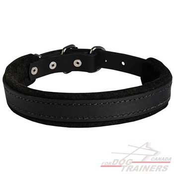 Padded Leather Collar for Dog Training