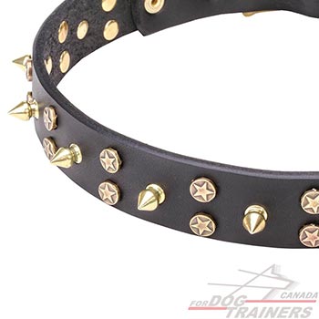 Brass Decor on Leather Dog Collar