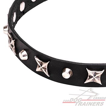 Durable Dog Collar with Nickel Plated Decorations