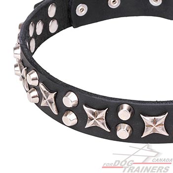 Durable Dog Collar with Silver-like Plated Decorations