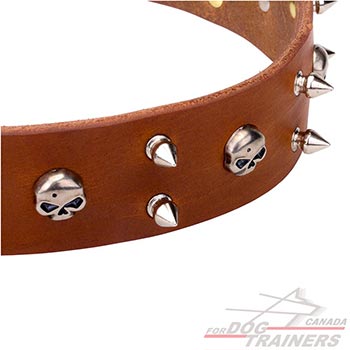 Tan leather dog collar for walking 