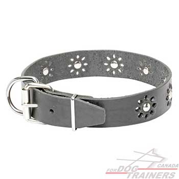 Steel nickel plated hardware on black leather collar for dogs