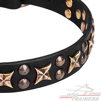 Leather collar for dogs with old-style stars and studs